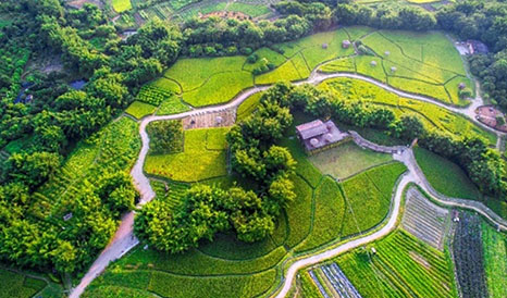 從化農(nóng)耕田緣休閑農(nóng)業(yè)、旅游信息化建設(shè)項(xiàng)目